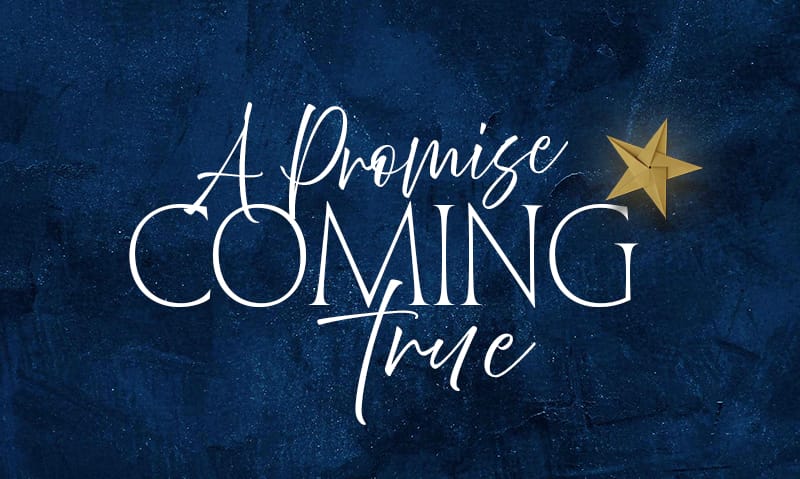 Advent Week Three 2025